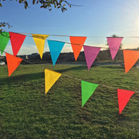 Thumbnail for Plastic Flags on a Rope - Multi-Colored Pennant Banner
