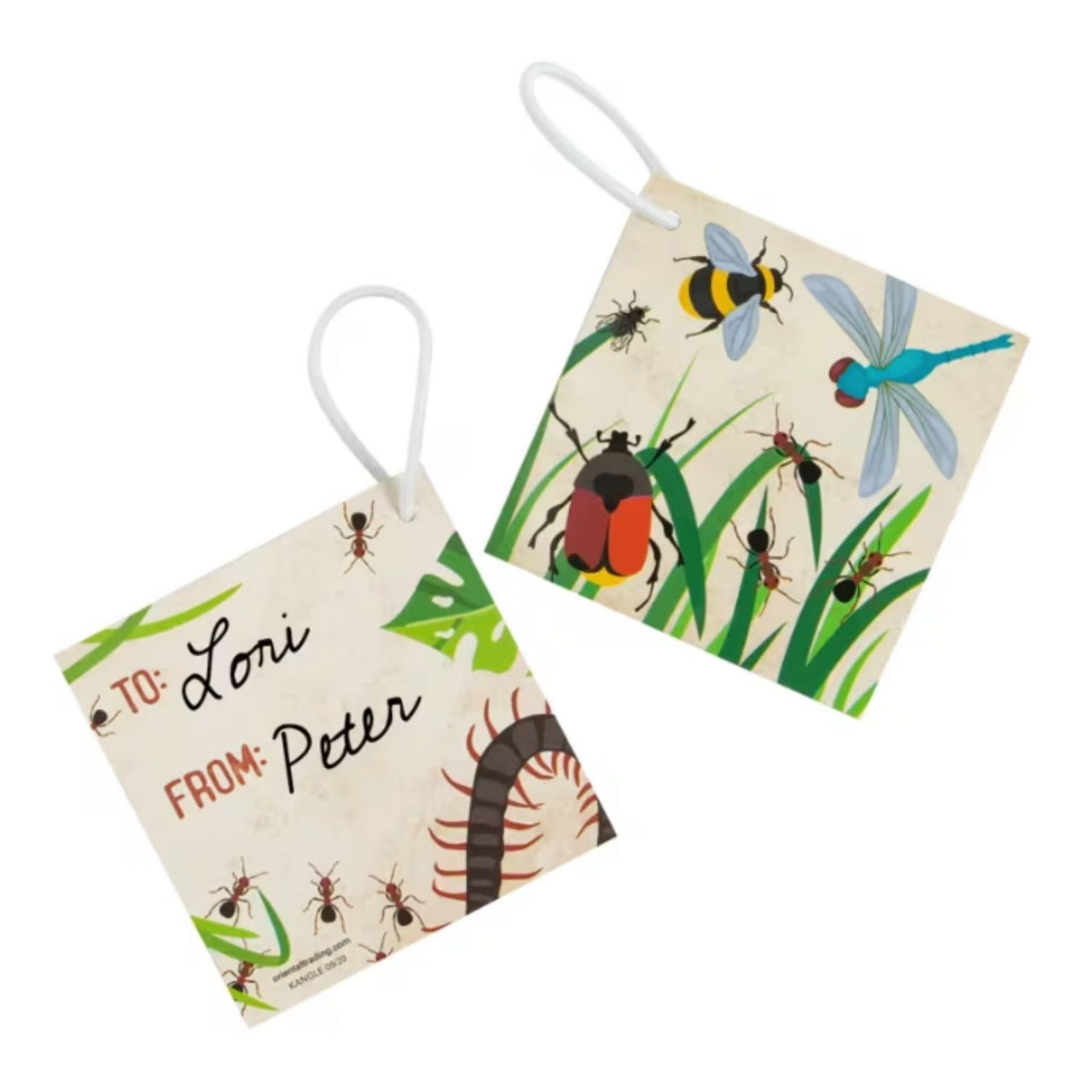 bug to and from cards