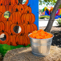 Thumbnail for fall festival prizes pumpkin springs