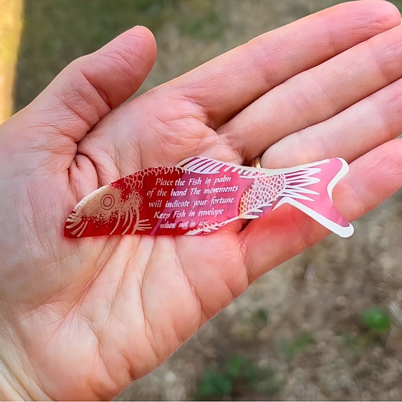 close up of fortune fish toy in hand