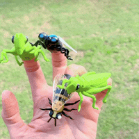 Thumbnail for insect bug finger puppets