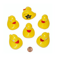 Thumbnail for Matching Duck Game (20/package) 67¢ each