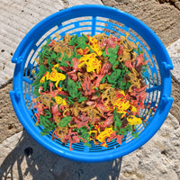Thumbnail for mini plastic frogs in a basket