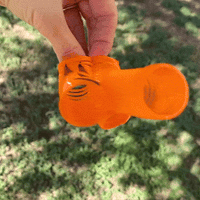 Thumbnail for mini pumpkin springs toy outside