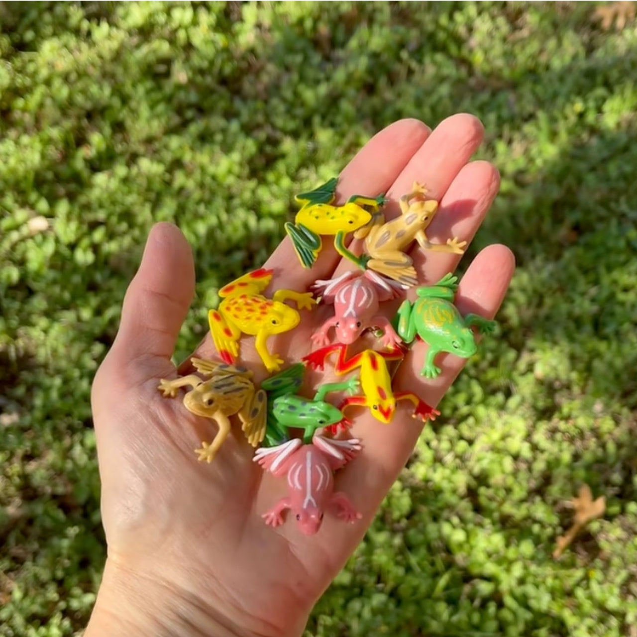 mini vinyl frogs on a hand outside