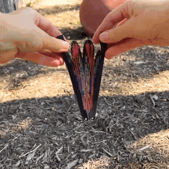 paper butterfly fan openiing
