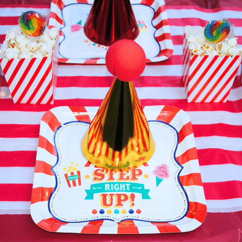 party hat with clown nose