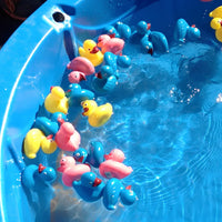 Thumbnail for plastic carnival duck in a toddler pool some tipping over