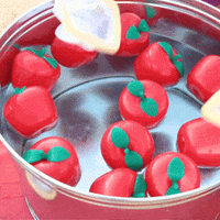 Thumbnail for plastic nets used for fall game