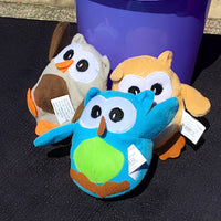 Thumbnail for plush owls outside at a fall festival