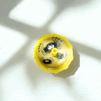 Thumbnail for spinning spider spin top in the sunshine