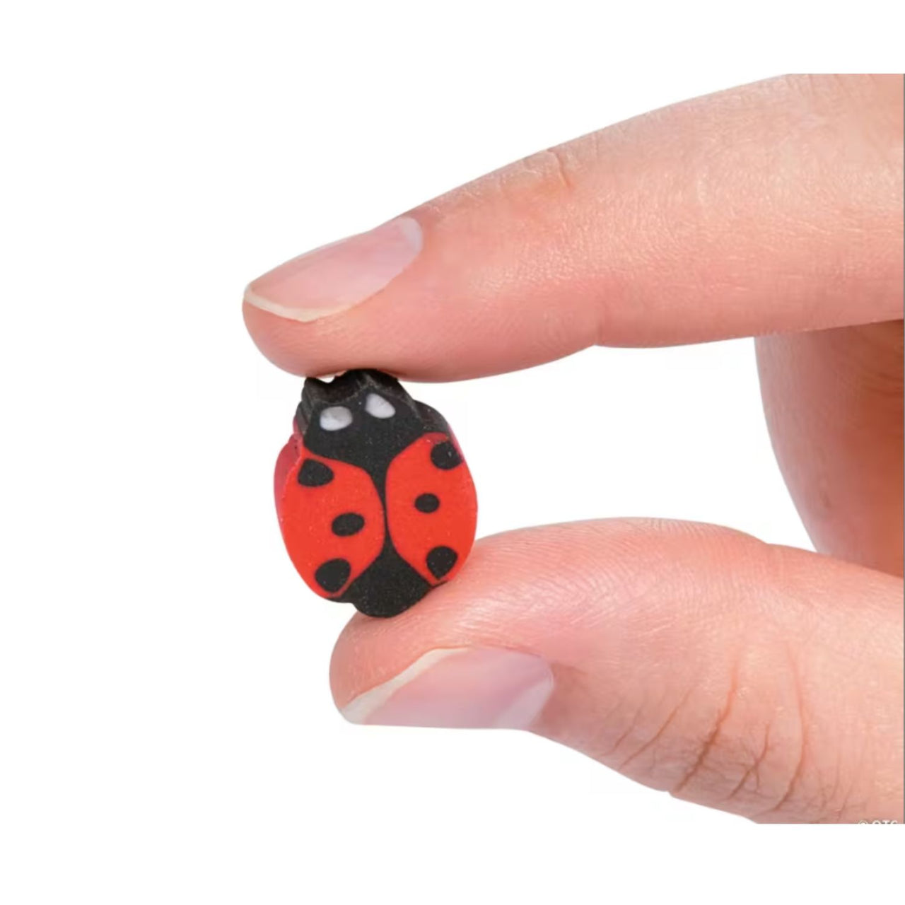 tin bug eraser shown up close