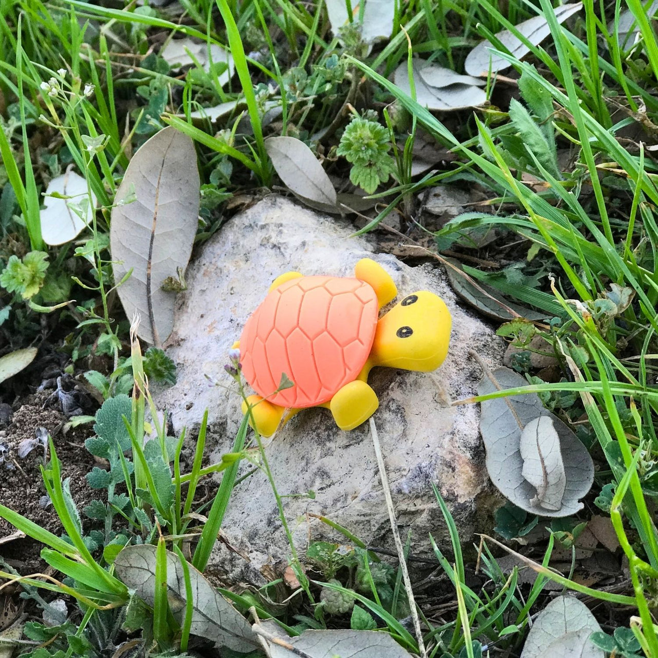 Colorful turtle erasers