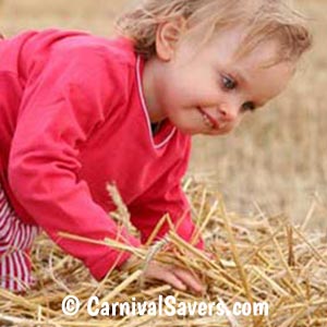 girl-searching-in-hay.jpg
